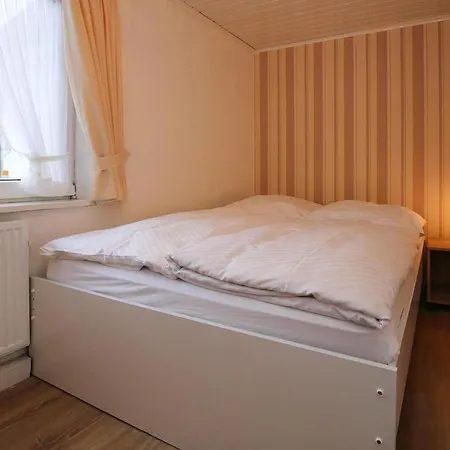 - Dns10100c-dye * Westerland