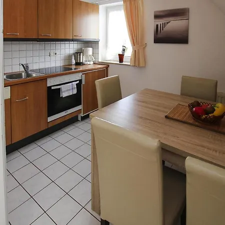 - Dns10100c-dye * Westerland