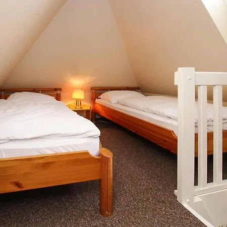 - Dns10100c-dye * Westerland